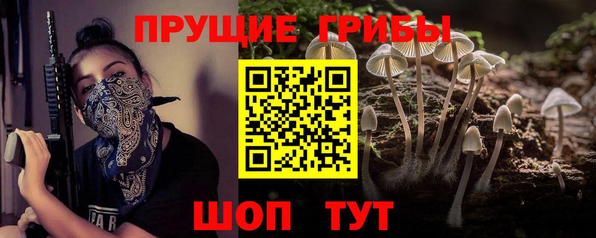 Псилоцибиновые грибы мицелий  Галлюциногенные грибы мухоморы  Вход с VPN  Грозный 