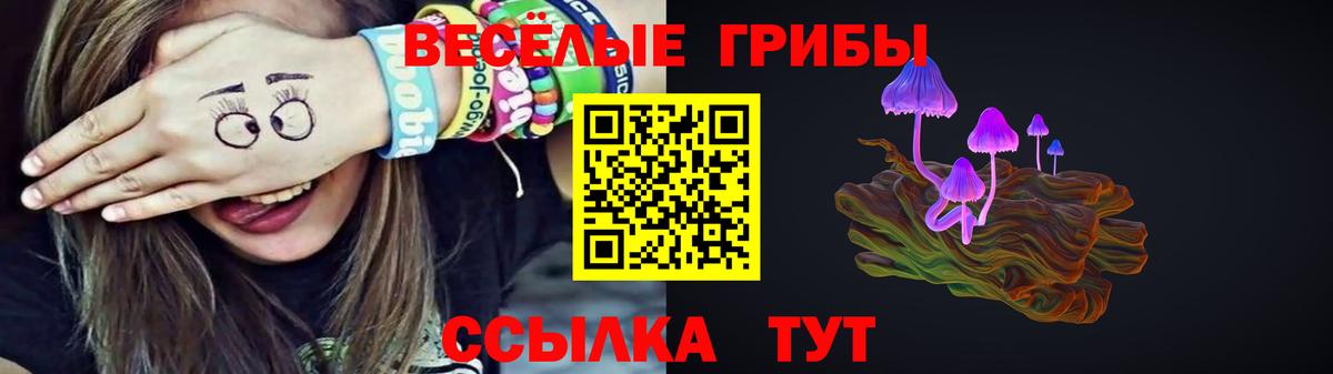 Галлюциногенные грибы Magic Shrooms Грозный